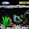 PLANTAS PARA ACUARIO 3” (7.5 CM) 6 PZ. - Image 4