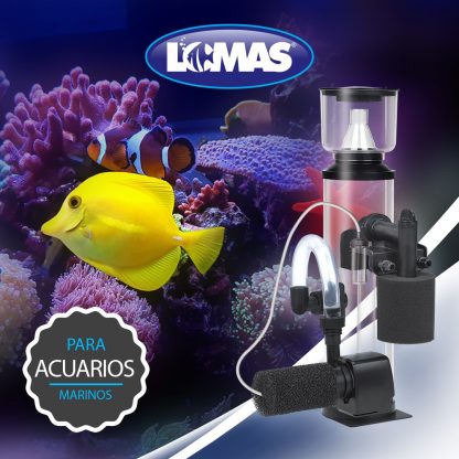 SEPARADOR DE PROTEINA (SKIMMER) 300 LT. - Image 3