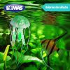 MEDUSA FLUORESCENTE CH COLORES SURTIDOS - Image 2