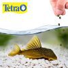 TETRAPRO PLECOWAFFERS 150 G - Image 2