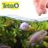 TETRACICHLID JUMBO STICKS 210 GR - Image 2