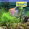 TETRA PRO TROPICAL CRISP 190 GR - Image 2