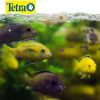TETRACICHLID CRISPS 250 GR - Image 2