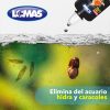SULFATO DE COBRE 30 ML - Image 2