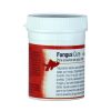 FUNGUS CURE - 12 CAPSULAS