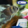 T.C. - 100 CAPSULAS - Image 3