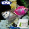 SUPER ICH CURE 100 CAPSULAS - Image 3