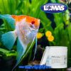 GENERAL CURE 100 CAPSULAS - Image 2