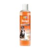 SHAMPOO DESINFECTANTE ESSENTIALS 250 ML.