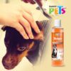 SHAMPOO DESINFECTANTE ESSENTIALS 250 ML. - Image 2