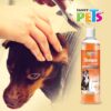 SHAMPOO DESINFECTANTE ESSENTIALS 500 ML - Image 2
