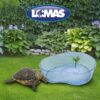 TORTUGUERO EN FORMA DE RIÑÓN 35 CM. - Image 2