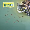 REPTOMIN PRO BABY TURTLE FORMULA 32 GR - Image 2