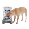 BEBEDERO PET CAFE 3 L. - Image 4