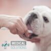 MS KIT DENTAL ANTISARRO PARA PERROS - Image 4