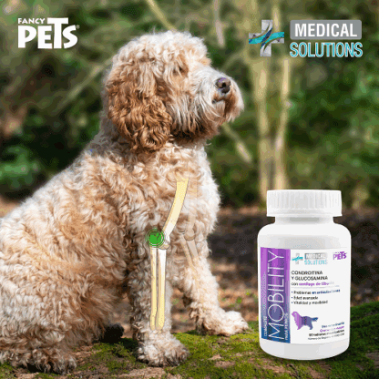MS COMPLETE MOBILITY PARA PERROS - 60 TAB - Image 6