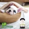 KIT DE AROMATERAPIA SERENIDAD 60 ML - Image 4