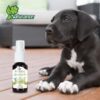 KIT DE AROMATERAPIA CONCENTRACION 60 ML - Image 4