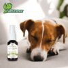 KIT DE AROMATERAPIA RELAJACION 60 ML - Image 4