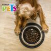 PLATO DE ACERO 2.7 KG - Image 3