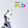 JUGUETE PELOTA CH DE TENIS CON SQUEAKER - 3 PZ - Image 2