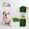 REPUESTO PASTO PARA DOGGIE GRASS CH - Image 3