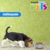 PLATO DE ACERO CON BASE ANTIDERRAPANTE 227 G - Image 3