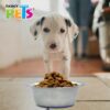 PLATO DE ACERO CON BASE ANTIDERRAPANTE 454 G. - Image 4