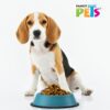 PLATO DE COLORES 680 G - Image 3