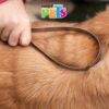 CUCHILLA PARA MUDA - Image 3