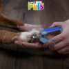 CORTAUÑAS PARA PERRO - Image 2