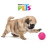 JUGUETE PELOTA DE CAUCHO DOGGY - Image 2