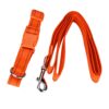 COLLAR MED CON CORREA Y BANDAS REFLEJANTES - Image 3