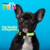 COLLAR CH CON ULTRA GRIP Y BANDAS REFLEJANTES VERDE - Image 2