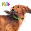 COLLAR MED CON ULTRA GRIP Y BANDAS REFLEJANTES VERDE - Image 2