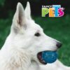JUGUETE PELOTA FLEXIBLE GDE CON SONIDO - Image 2