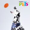 JUGUETE BALON DE RUGBY GDE - Image 2