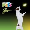 JUGUETE BALON DE RUGBY CH GLOW - Image 2