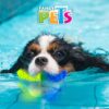 JUGUETE HUESO CONGELABLE COOL - Image 2