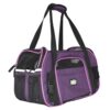 TRANSPORTADORA GDE MORADA TOUR - Image 2
