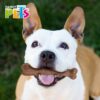 JUGUETE HUESO CH DE BAMBU SABOR TOCINO NATURE - Image 2
