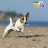 JUGUETE TRONCO CONGELABLE COOL. - Image 2