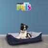 CAMA EXPLORER - Image 2