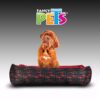 CAMA LUCKY - Image 2