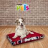 COLCHON AFFENPINSCHER - Image 3