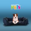 CAMA CORGI - Image 2