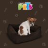 CAMA SPANIEL - Image 3