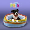 CAMA MOWI - Image 2