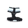 ARNES MODELAJE CORBATIN CH - Image 2