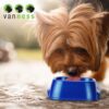 PLATO DE PLASTICO CH 473 ML. - Image 3